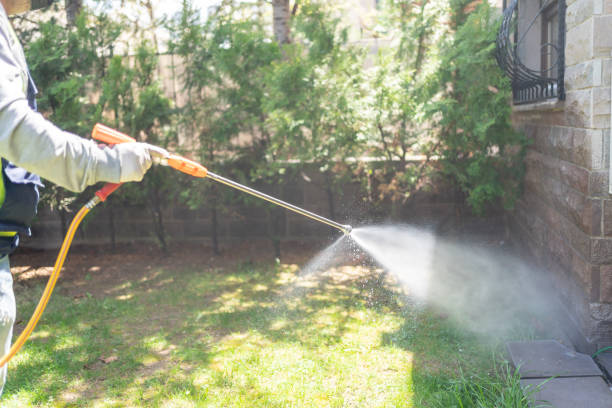Best Wasp Removal Services  in South Valley Stream, NY