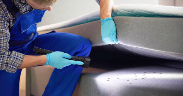 Best Bed Bug Extermination  in South Valley Stream, NY
