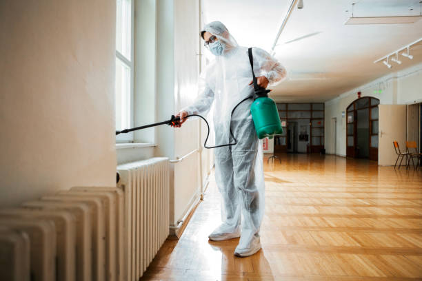Flea Control Services in South Valley Stream, NY